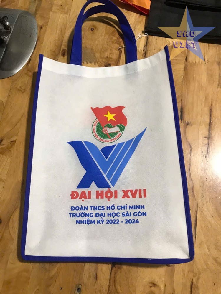 Mẫu túi vải không dệt 12