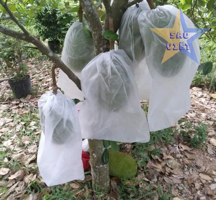tui-vao-khong-det-boc-trai-cay-03