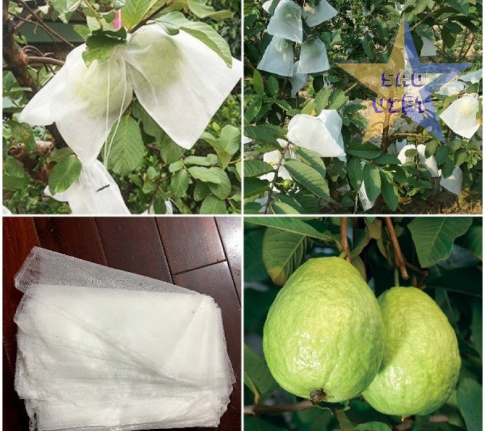 tui-vao-khong-det-boc-trai-cay-04