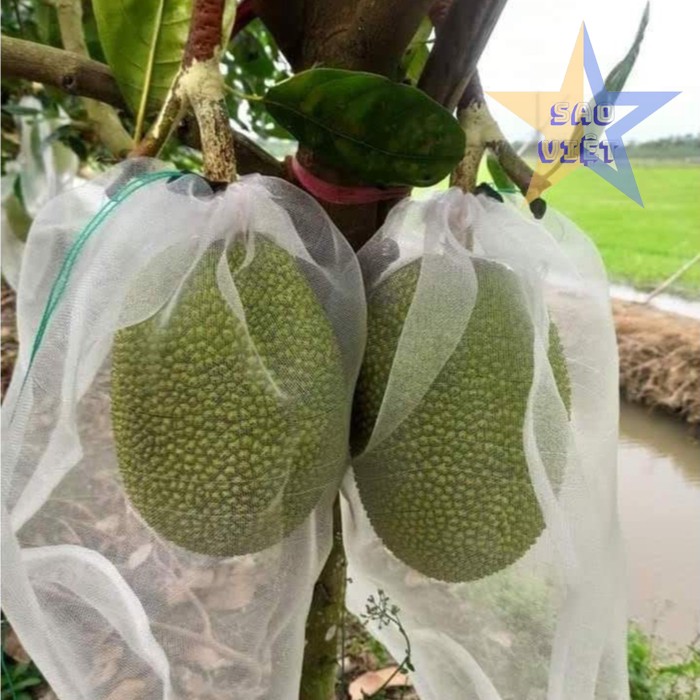 tui-vao-khong-det-boc-trai-cay-08