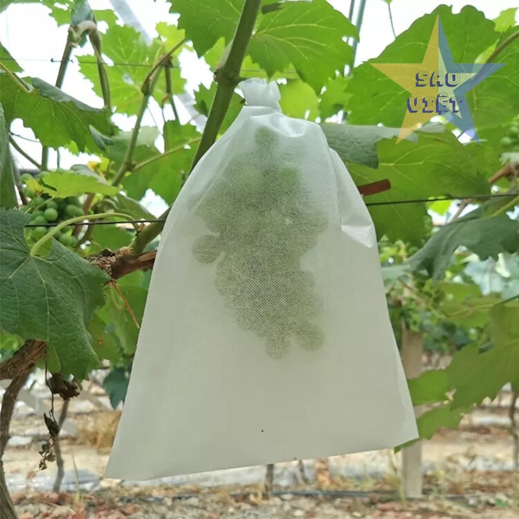 Túi bọc trái cây từ vải không dệt